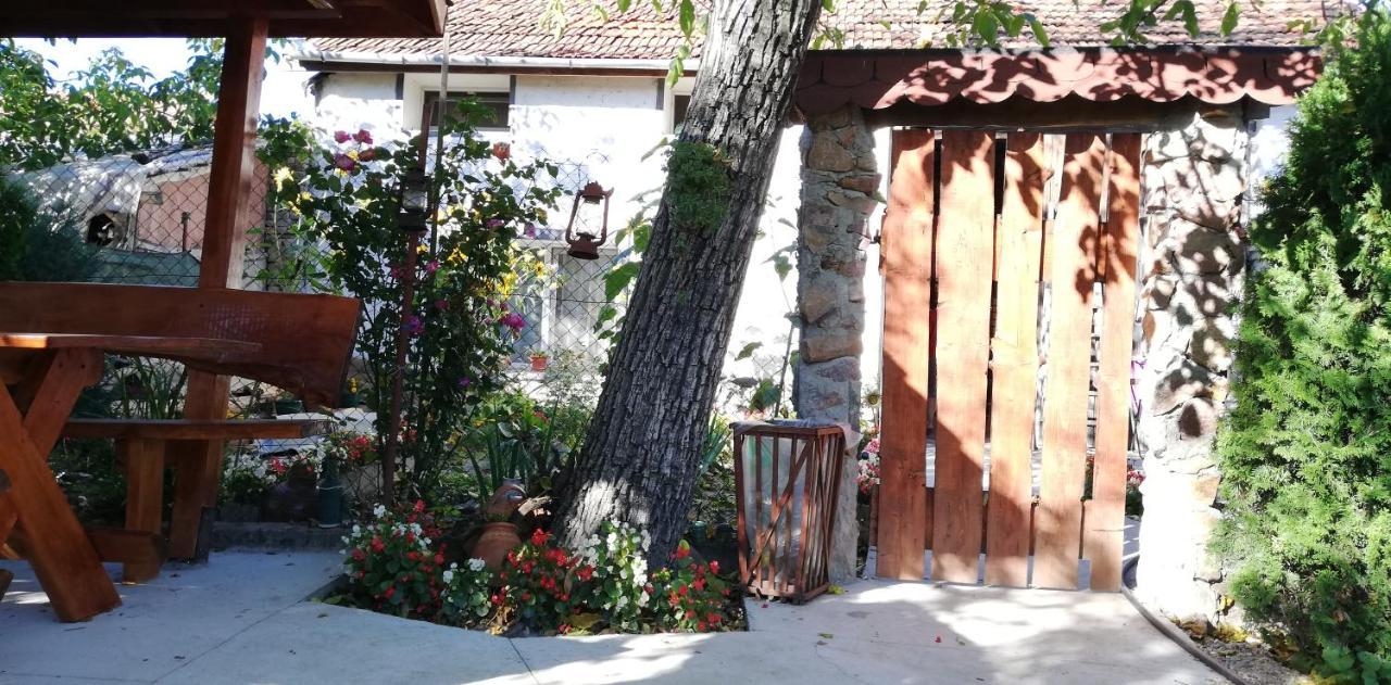 Balla House Tărcaia Exterior foto